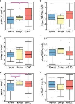 Investigating Urinary Circular RNA Biomarkers for Improved Detection of Renal Cell Carcinoma